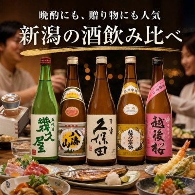 新潟3大有名酒 久保田・越乃寒梅・八海山と人気定番酒飲み比べ720ml×5本