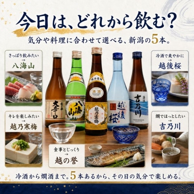 新潟人気酒!越乃寒梅と八海山入り!ミニボトル飲み比べセット300ml×5本