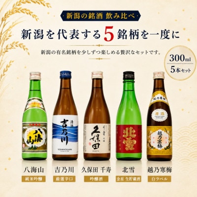 新潟の辛口飲み比べ!金賞受賞五蔵飲み比べセット 300ml 5本
