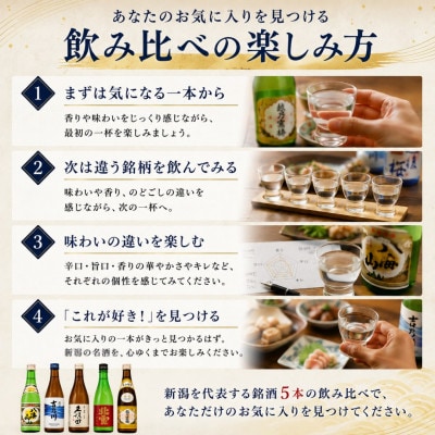新潟の辛口飲み比べ!金賞受賞五蔵飲み比べセット 300ml 5本