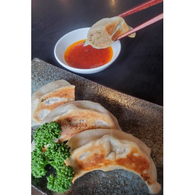 新潟がんこ屋の「佐渡黒豚餃子」3パックと「ジャンボ餃子」2パック