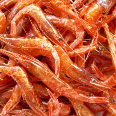 新潟県糸魚川市姫漁港産南蛮エビの素干し【85g】