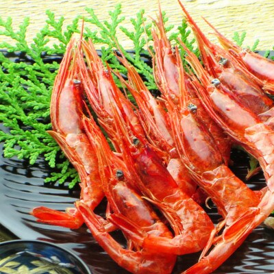 新潟県糸魚川市姫漁港産南蛮エビの素干し昆布味5袋セット