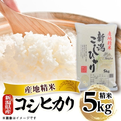 新潟県産 コシヒカリ 5kg