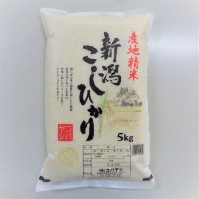 新潟県産 コシヒカリ 5kg