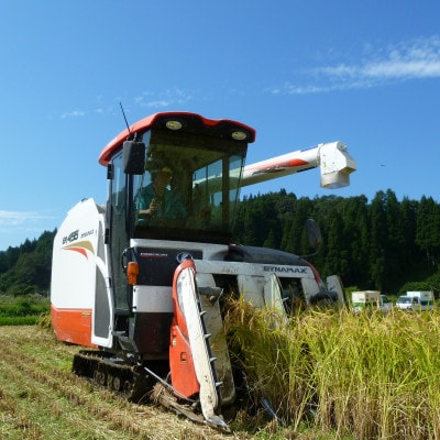 新潟米10kgセットB 魚沼産コシヒカリ5kg+特別栽培米コシヒカリ(ミネラル栽培)5kg