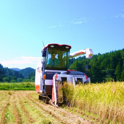 新潟米10kgセットA 魚沼産コシヒカリ5kg+新之助(特別栽培米)5kg