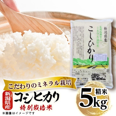 新潟県産 特別栽培米コシヒカリ 5kg(ミネラル栽培)