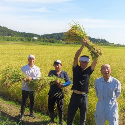新潟県産 特別栽培米コシヒカリ 5kg(ミネラル栽培)