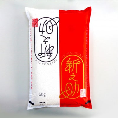 新潟県産 新之助 5kg