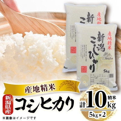 新潟県産 コシヒカリ 10kg(5kg×2)
