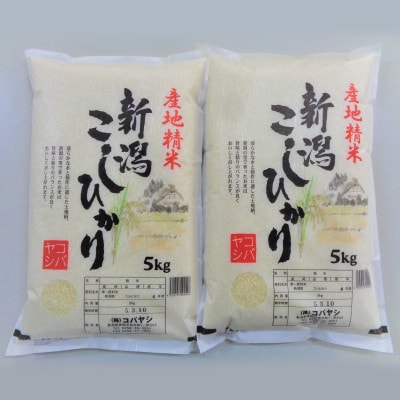 新潟県産 コシヒカリ 10kg(5kg×2)