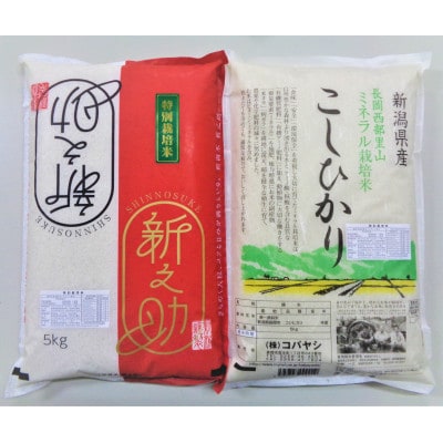農家直送 新潟米10kgセットC  特別栽培米(新之助5kg・長岡産コシ5kg)