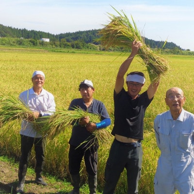 農家直送 新潟米10kgセットC  特別栽培米(新之助5kg・長岡産コシ5kg)
