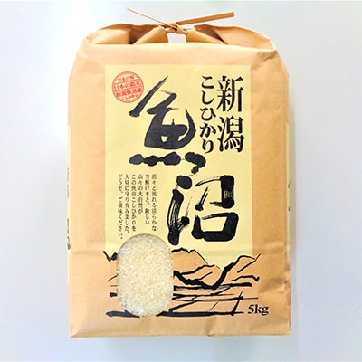 【毎月定期便】12ヶ月お届け 魚沼産コシヒカリ(精米) 5kg 全12回
