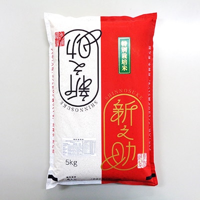 【毎月定期便】6ヶ月お届け 新潟県産 新之助(特別栽培米・精米) 5kg 全6回