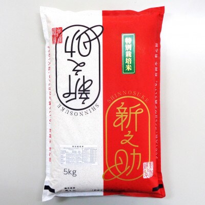 【毎月定期便】新潟県産 新之助(特別栽培米)5kg全3回