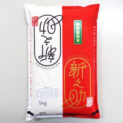 【毎月定期便】新潟県産 新之助(特別栽培米)5kg全6回