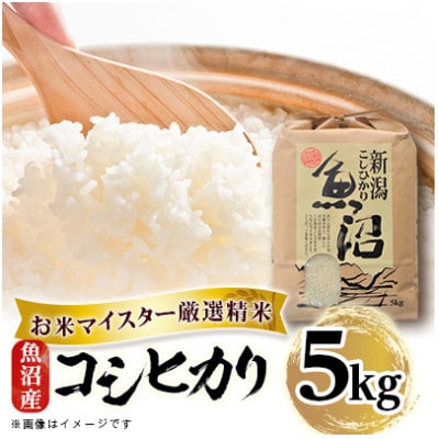 【毎月定期便】魚沼産コシヒカリ5kg全3回