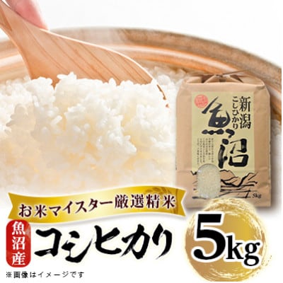 【毎月定期便】魚沼産コシヒカリ5kg全6回