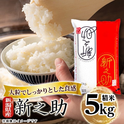 【毎月定期便】新潟県産 新之助 5kg全6回