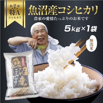 無洗米 魚沼産 コシヒカリ お米 5kg こしひかり  精米(お米の美味しい炊き方ガイド付き)
