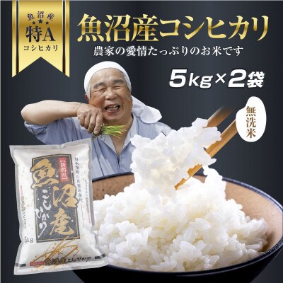 無洗米 魚沼産 コシヒカリ お米 10kg こしひかり 精米(お米の美味しい炊き方ガイド付き)