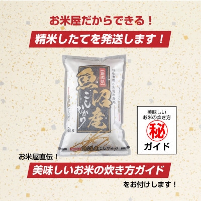 無洗米 魚沼産 コシヒカリ お米 10kg こしひかり 精米(お米の美味しい炊き方ガイド付き)