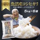 新潟県 魚沼産 コシヒカリ お米 30kg こしひかり 精米(お米の美味しい炊き方ガイド付き)