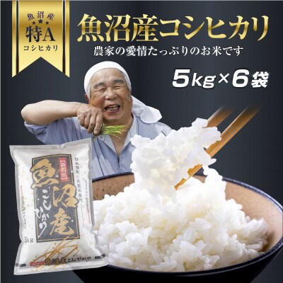 新潟県 魚沼産 コシヒカリ お米 30kg こしひかり 精米(お米の美味しい炊き方ガイド付き)