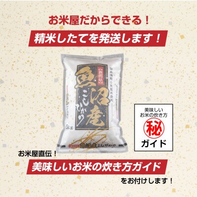 新潟県 魚沼産 コシヒカリ お米 30kg こしひかり 精米(お米の美味しい炊き方ガイド付き)
