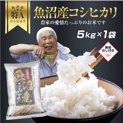 無地熨斗 魚沼産 コシヒカリ お米 5kg こしひかり  精米(お米の美味しい炊き方ガイド付き)