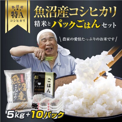 新潟県 魚沼産 コシヒカリ お米 5kg & こしひかり パックごはん 10パックセット
