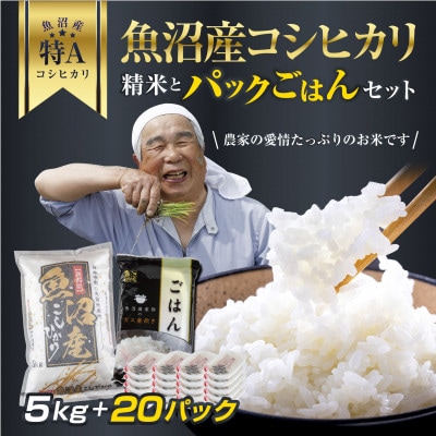 新潟県 魚沼産 コシヒカリ お米 5kg & こしひかり パックごはん 20パックセット