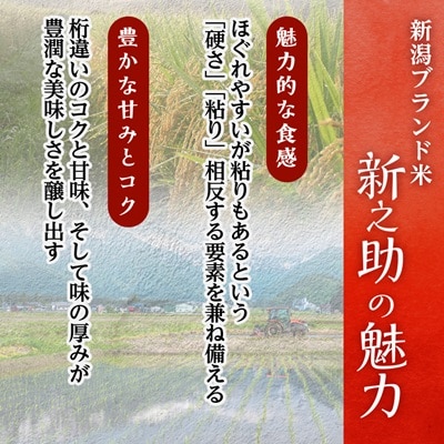 【パックごはん】新之助ごはん150g×24個