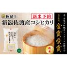 【令和7年産新米先行予約】　　　　　　　金賞受賞　佐渡産コシヒカリ　　　　　　　　5kg×1　