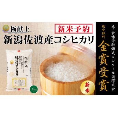 新米予約【令和8年産】食味鑑定コンク-ル金賞　新潟県佐渡産コシヒカリ5k(5kg×1袋)　