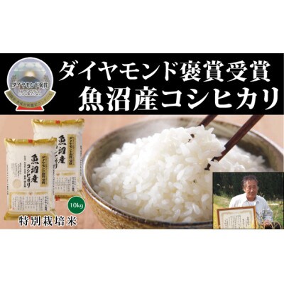 令和4年産　魚沼産こしひかり　【ダイヤモンド褒賞受賞  特別栽培米】5kg×2袋