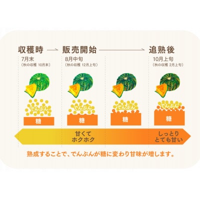 特別なかぼちゃikkaプレミアム【8月-9月順次発送予定】