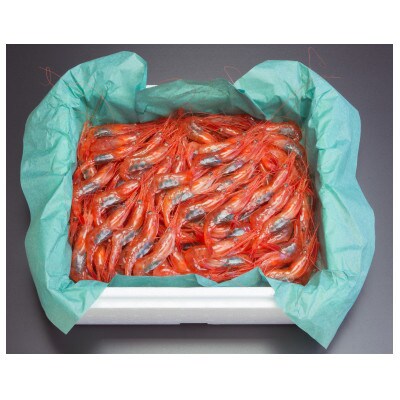 生鮮 南蛮海老　500g