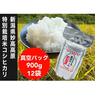 【令和7年産新米】新潟県特別栽培米 そのまんま真空パック  900g×12袋セット
