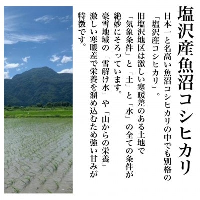 【令和6年産】新潟県塩沢産コシヒカリ そのまんま真空パック 900g×12袋セット