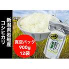 【令和7年産新米】新潟県岩船産コシヒカリ そのまんま真空パック 900g×12袋セット