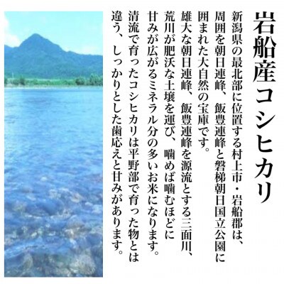 【令和6年産】新潟県岩船産コシヒカリ そのまんま真空パック 900g×12袋セット