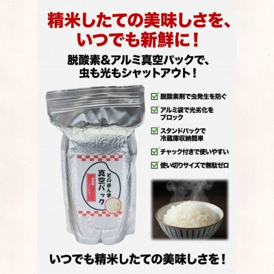 【令和7年産】新潟県産コシヒカリ 無洗米 そのまんま真空パック 900g×6袋セット
