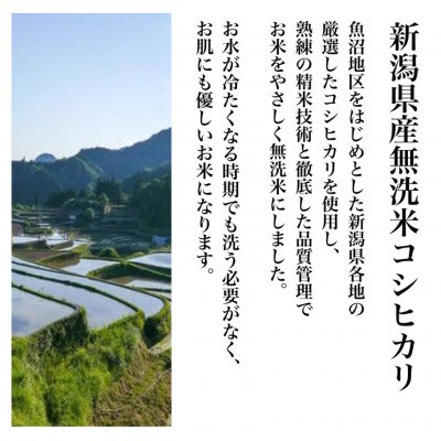 【令和6年産】新潟県産コシヒカリ 無洗米 そのまんま真空パック 900g×12袋セット
