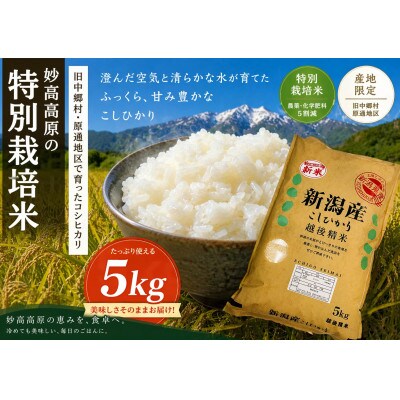 【令和7年産】新潟県妙高高原 特別栽培米コシヒカリ 5kg