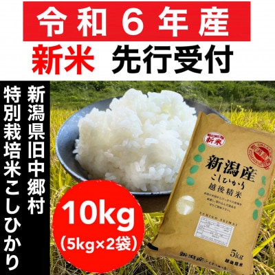 【令和6年産】新潟県旧中郷村 特別栽培米コシヒカリ 10kg