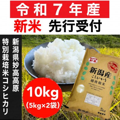 【令和7年産新米】新潟県妙高高原 特別栽培米コシヒカリ 10kg