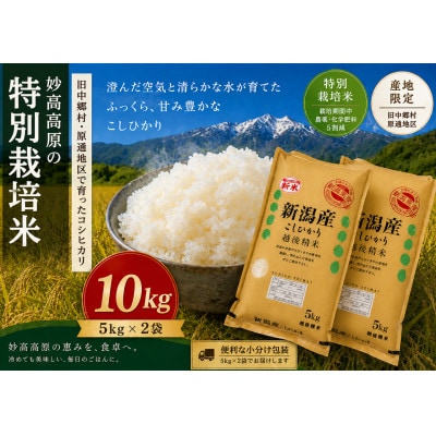 【令和7年産】新潟県妙高高原 特別栽培米コシヒカリ 10kg